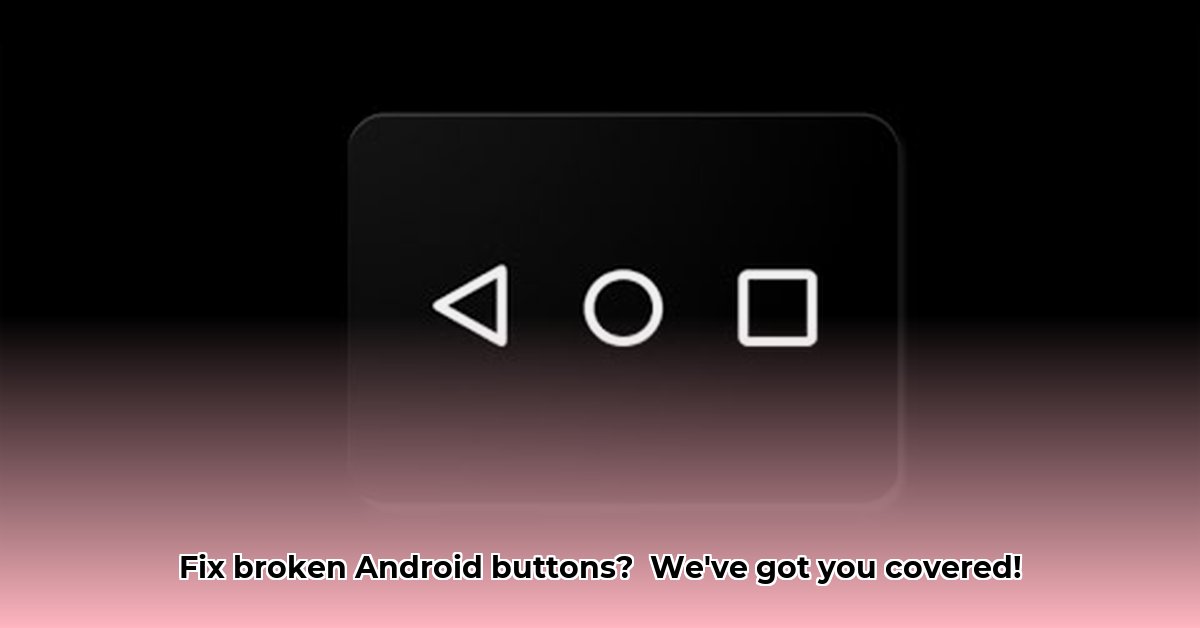 soft-keys-home-back-button-apk